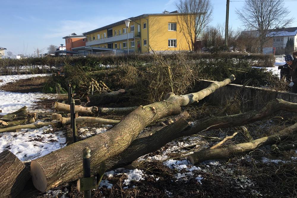 Forstpflege bei GreenXpert e.U.