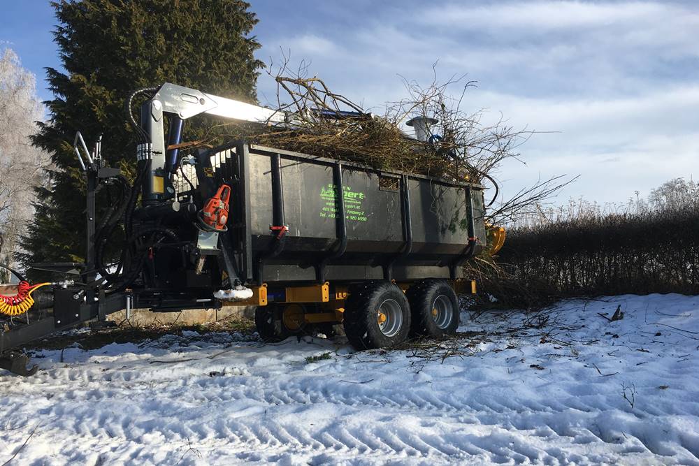 Forstpflege bei GreenXpert e.U.