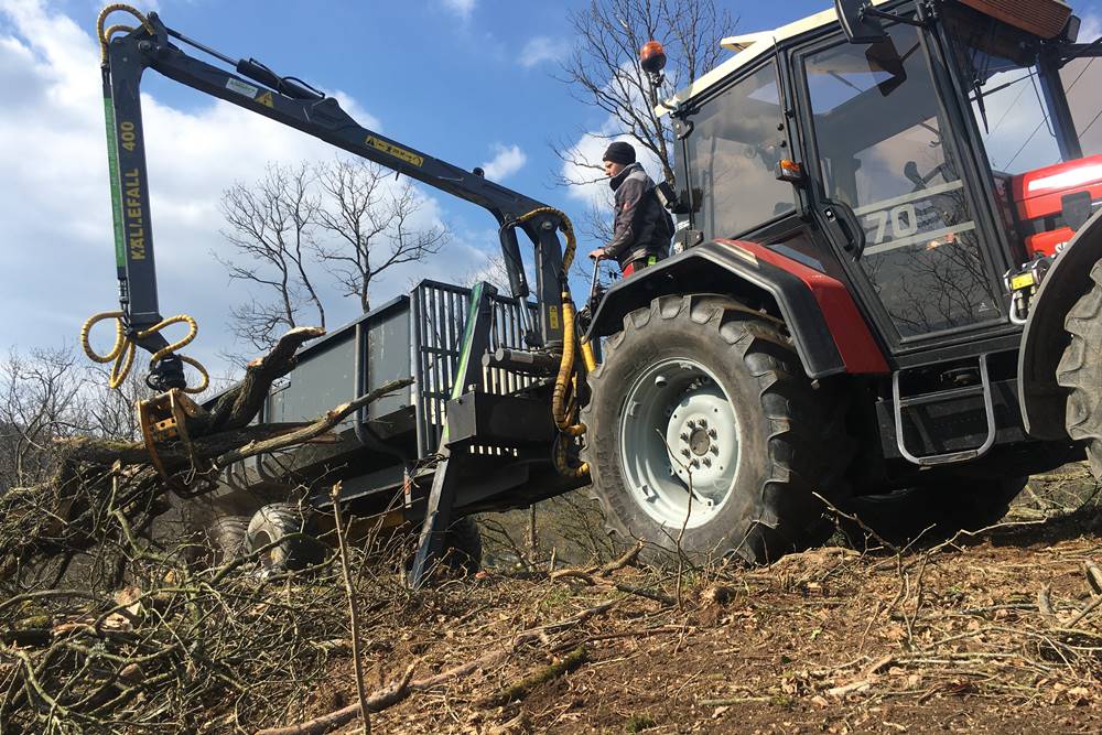 Forstpflege bei GreenXpert e.U.