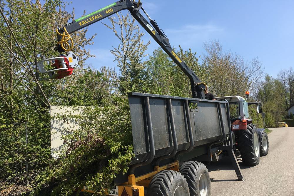 Forstpflege bei GreenXpert e.U.