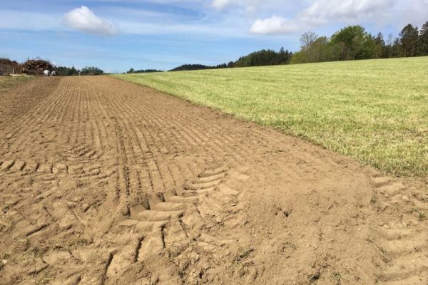 Rasenneugestaltungen | GreenXpert e.U. aus Walding im Bezirk Urfahr